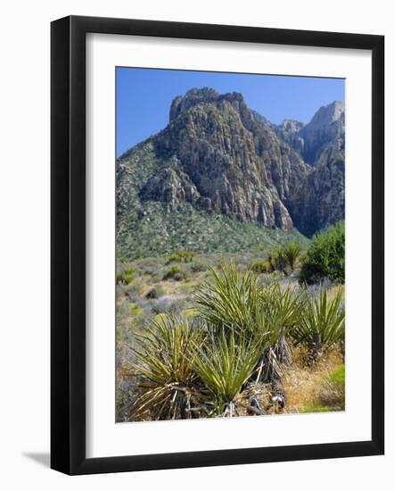 Spring Mountains, 15 Miles West of Las Vegas in the Mojave Desert, Nevada, USA-Fraser Hall-Framed Photographic Print