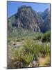 Spring Mountains, 15 Miles West of Las Vegas in the Mojave Desert, Nevada, USA-Fraser Hall-Mounted Photographic Print