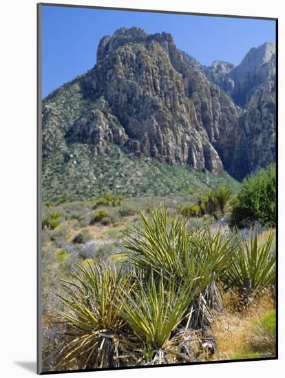 Spring Mountains, 15 Miles West of Las Vegas in the Mojave Desert, Nevada, USA-Fraser Hall-Mounted Photographic Print