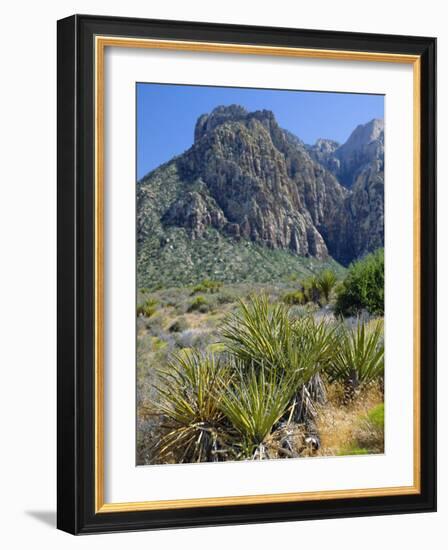 Spring Mountains, 15 Miles West of Las Vegas in the Mojave Desert, Nevada, USA-Fraser Hall-Framed Photographic Print