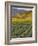 Spring Mustard Flowers in Screaming Eagle Vineyard, Napa Valley, Napa County, California, Usa-Janis Miglavs-Framed Photographic Print