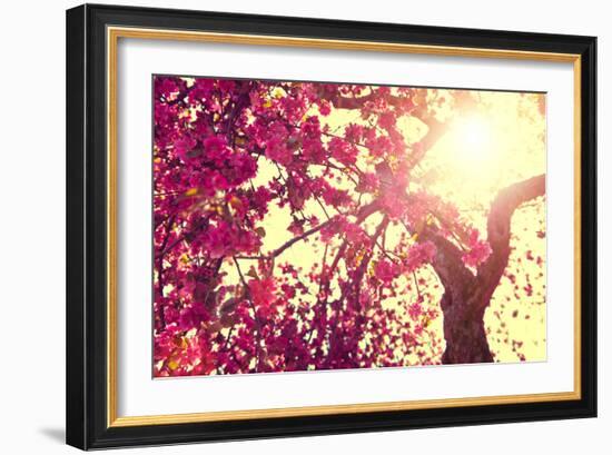 Spring Nature Background Blooming Tree over Sunny Sky. Spring Blossom. Apple Flowers. Sun Flare. Vi-Subbotina Anna-Framed Photographic Print