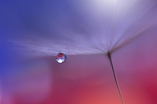 Photo, , large