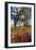 Spring Oak Scene, Central Valley, California-Vincent James-Framed Photographic Print