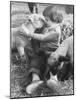 Spring on an Animal Farm-Francis Miller-Mounted Photographic Print