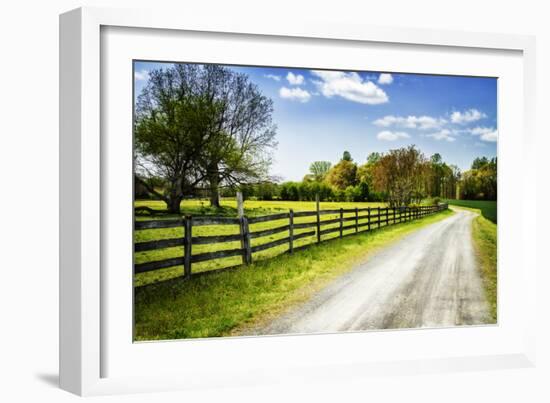 Spring on the Farm I-Alan Hausenflock-Framed Premium Photographic Print