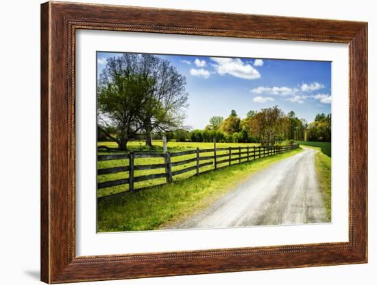 Spring on the Farm I-Alan Hausenflock-Framed Photographic Print