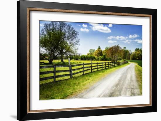 Spring on the Farm I-Alan Hausenflock-Framed Photographic Print