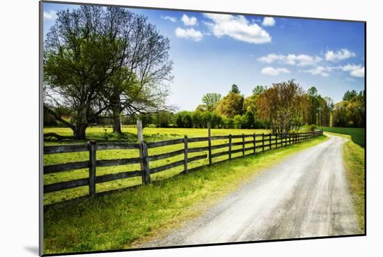 Spring on the Farm I-Alan Hausenflock-Mounted Photographic Print