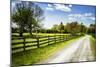 Spring on the Farm I-Alan Hausenflock-Mounted Photographic Print