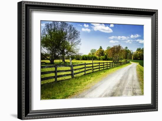 Spring on the Farm I-Alan Hausenflock-Framed Photographic Print