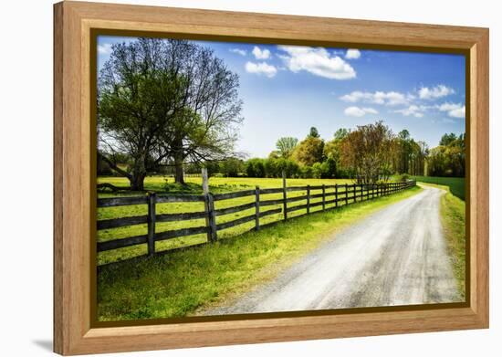 Spring on the Farm I-Alan Hausenflock-Framed Premier Image Canvas