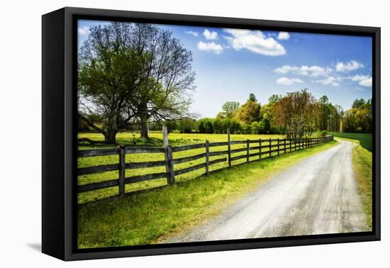 Spring on the Farm I-Alan Hausenflock-Framed Premier Image Canvas