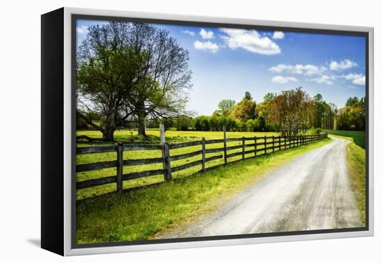 Spring on the Farm I-Alan Hausenflock-Framed Premier Image Canvas