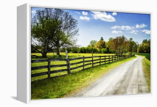 Spring on the Farm I-Alan Hausenflock-Framed Premier Image Canvas