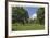 Spring On The Farm-Donald Paulson-Framed Giclee Print