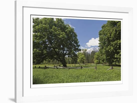 Spring On The Farm-Donald Paulson-Framed Giclee Print
