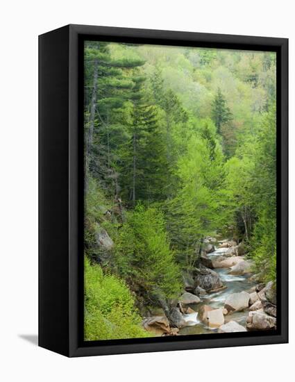 Spring on the Pemigewasset River, Flume Gorge, Franconia Notch State Park, New Hampshire, USA-Jerry & Marcy Monkman-Framed Premier Image Canvas