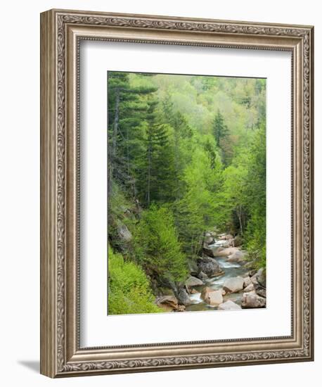 Spring on the Pemigewasset River, Flume Gorge, Franconia Notch State Park, New Hampshire, USA-Jerry & Marcy Monkman-Framed Photographic Print