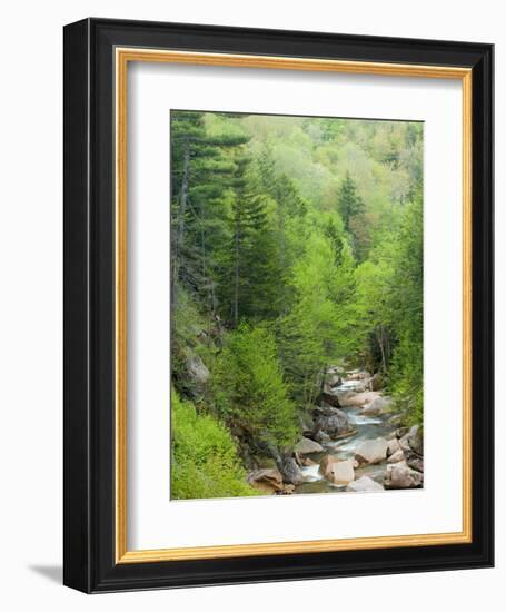 Spring on the Pemigewasset River, Flume Gorge, Franconia Notch State Park, New Hampshire, USA-Jerry & Marcy Monkman-Framed Photographic Print