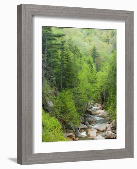 Spring on the Pemigewasset River, Flume Gorge, Franconia Notch State Park, New Hampshire, USA-Jerry & Marcy Monkman-Framed Photographic Print