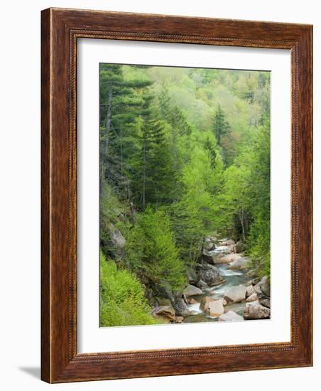 Spring on the Pemigewasset River, Flume Gorge, Franconia Notch State Park, New Hampshire, USA-Jerry & Marcy Monkman-Framed Photographic Print