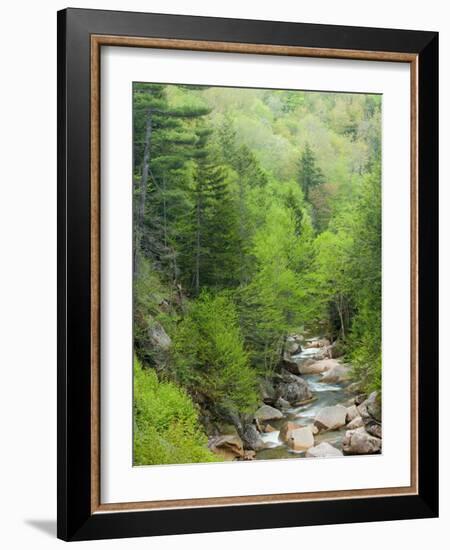 Spring on the Pemigewasset River, Flume Gorge, Franconia Notch State Park, New Hampshire, USA-Jerry & Marcy Monkman-Framed Photographic Print