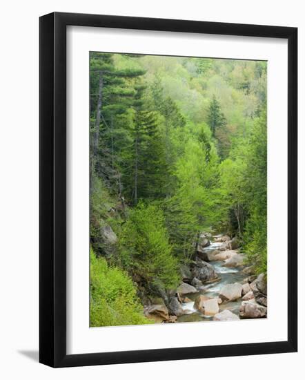 Spring on the Pemigewasset River, Flume Gorge, Franconia Notch State Park, New Hampshire, USA-Jerry & Marcy Monkman-Framed Photographic Print