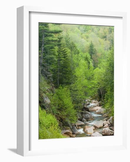 Spring on the Pemigewasset River, Flume Gorge, Franconia Notch State Park, New Hampshire, USA-Jerry & Marcy Monkman-Framed Photographic Print