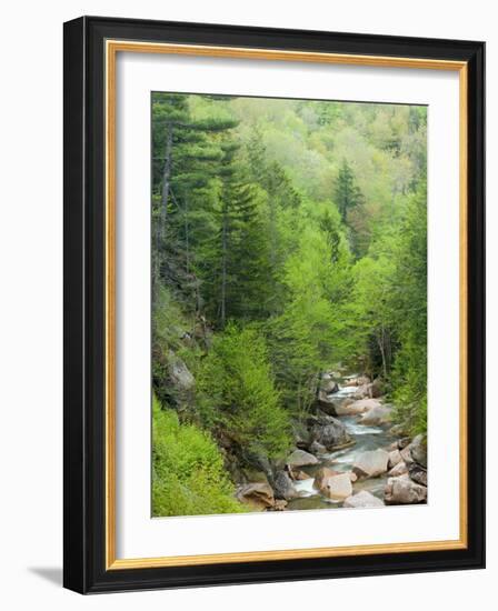 Spring on the Pemigewasset River, Flume Gorge, Franconia Notch State Park, New Hampshire, USA-Jerry & Marcy Monkman-Framed Photographic Print