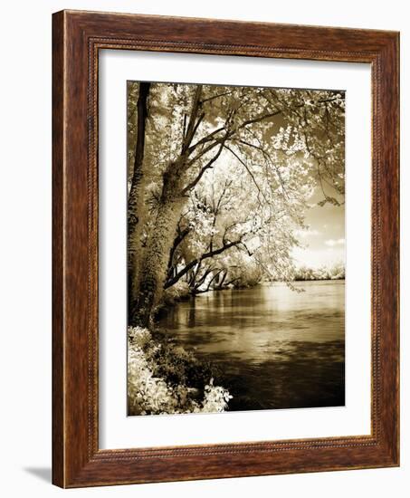 Spring on the River I-Alan Hausenflock-Framed Photographic Print