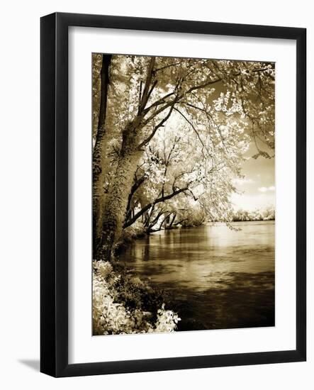 Spring on the River I-Alan Hausenflock-Framed Photographic Print