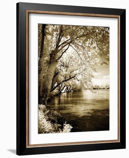 Spring on the River I-Alan Hausenflock-Framed Photographic Print
