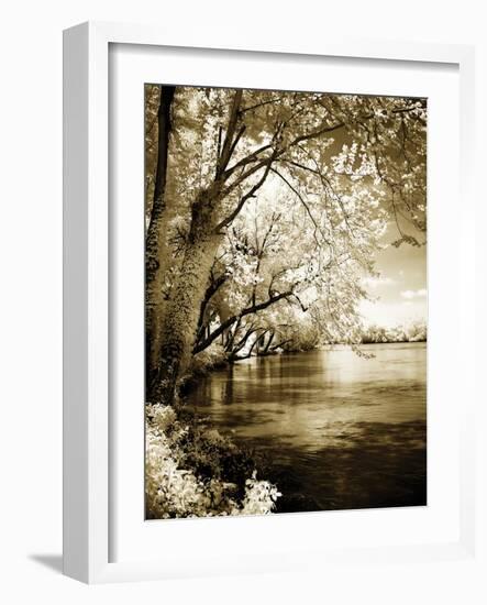 Spring on the River I-Alan Hausenflock-Framed Photographic Print