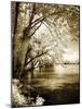 Spring on the River I-Alan Hausenflock-Mounted Photographic Print