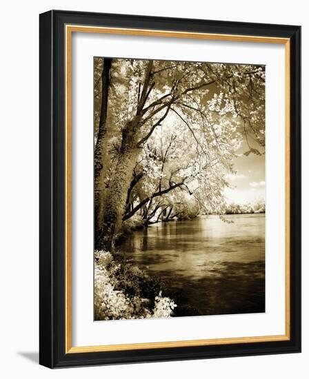 Spring on the River I-Alan Hausenflock-Framed Photographic Print