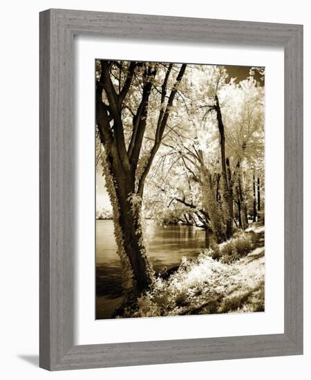 Spring on the River II-Alan Hausenflock-Framed Photographic Print