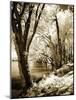 Spring on the River II-Alan Hausenflock-Mounted Photographic Print