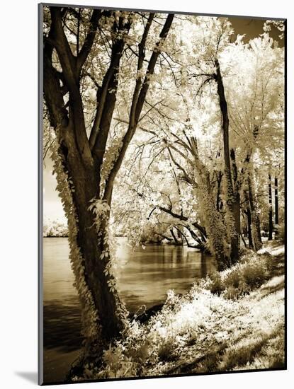 Spring on the River II-Alan Hausenflock-Mounted Photographic Print