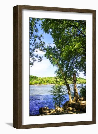 Spring on the River III-Alan Hausenflock-Framed Photographic Print