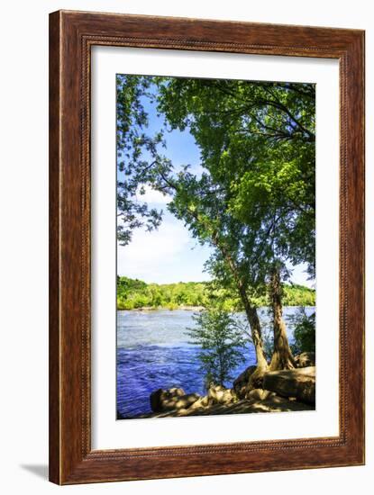 Spring on the River III-Alan Hausenflock-Framed Photographic Print