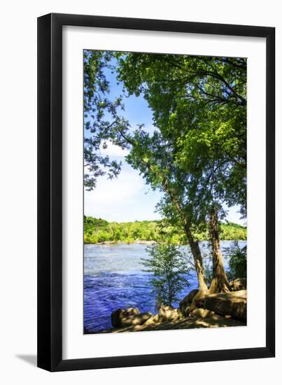 Spring on the River III-Alan Hausenflock-Framed Photographic Print