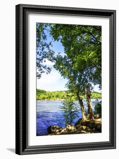 Spring on the River III-Alan Hausenflock-Framed Photographic Print