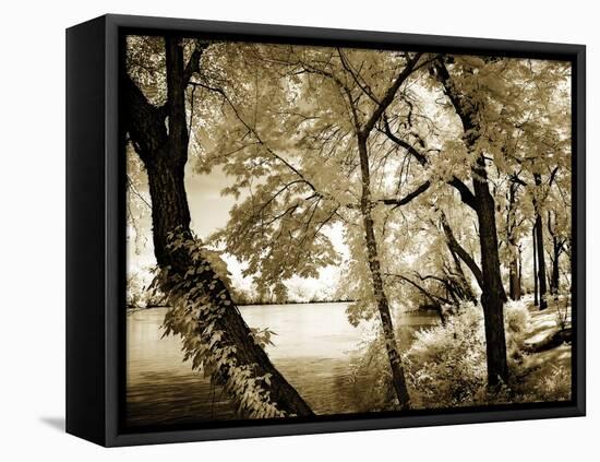 Spring on the River IV-Alan Hausenflock-Framed Premier Image Canvas