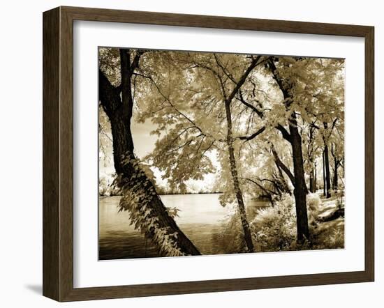 Spring on the River IV-Alan Hausenflock-Framed Photographic Print