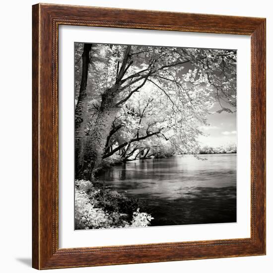 Spring on the River Square I-Alan Hausenflock-Framed Photographic Print