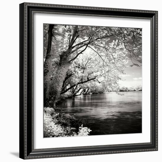 Spring on the River Square I-Alan Hausenflock-Framed Photographic Print