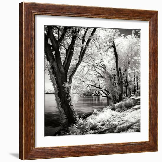 Spring on the River Square II-Alan Hausenflock-Framed Photographic Print