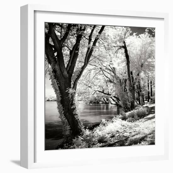 Spring on the River Square II-Alan Hausenflock-Framed Photographic Print