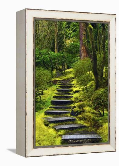 Spring on the Steps, Portland Japanese Garden, Portland, Oregon, USA-Michel Hersen-Framed Premier Image Canvas